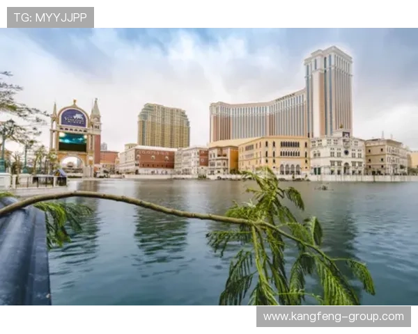 澳门威尼斯人娱乐场网址优惠活动不断，丰富奖励助您轻松赢取大奖