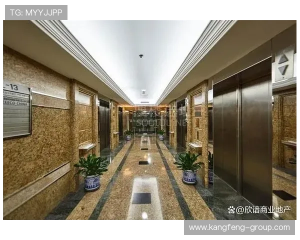 华都娱乐有限公司全面解析其发展历程与行业地位提升策略