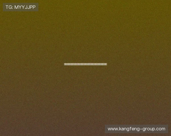 体育平台推出世界杯专题报道，深入挖掘赛事背后的故事与文化意义